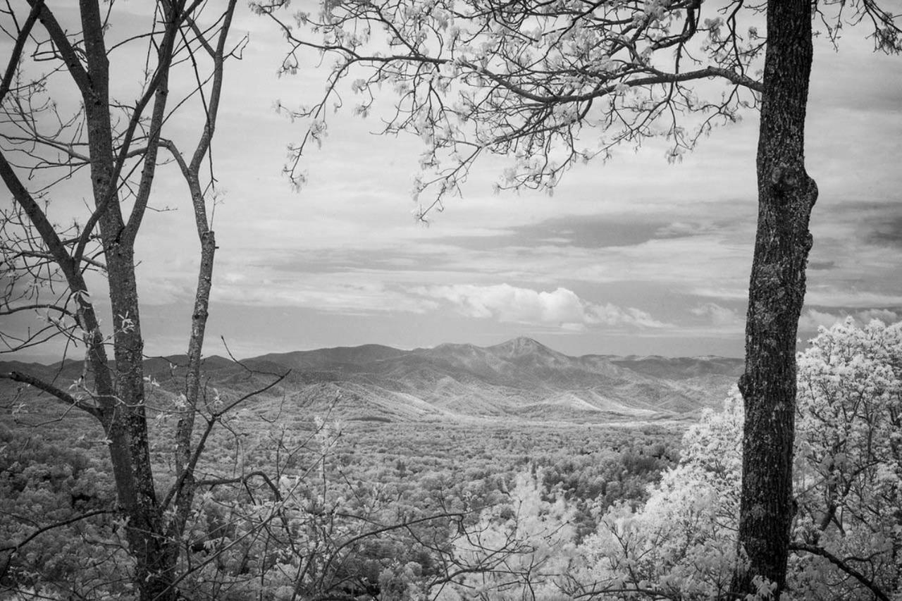 Elk Mountain Sanctuary With Views 6 Mi To 阿什维尔 外观 照片